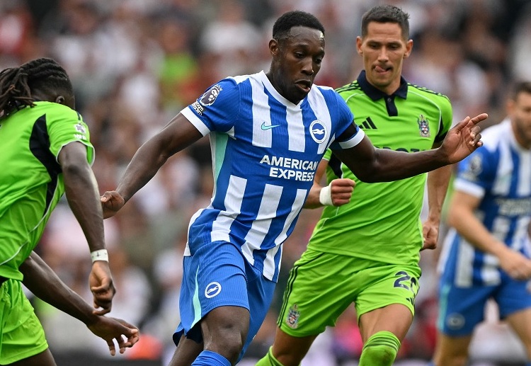 Danny Welbeck will lead Brighton & Hove Albion in upcoming Premier League battle against Tottenham Hotspur