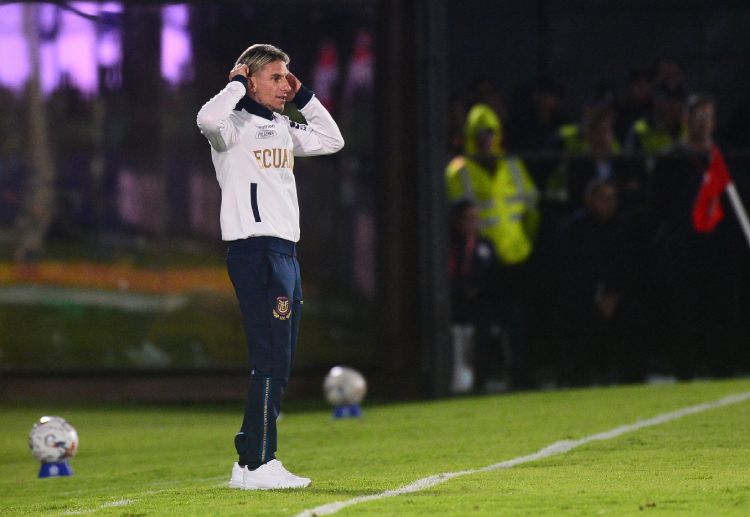 Vòng loại World Cup 2026: Ecuador vẫn đang thi đấu rất chặt chẽ