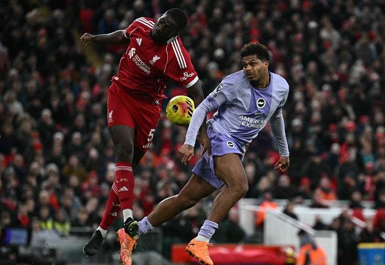 Brighton đá vòng 17 Premier League bằng màn đối đầu Sunderland