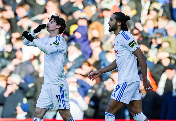 Taruhan Premier League: Leeds United vs Fulham