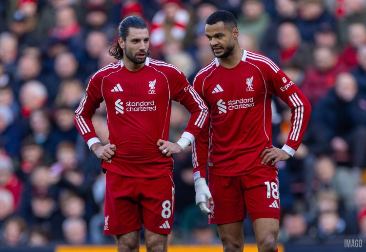 Skor akhir Premier League: Liverpool 1-1 Tottenham Hotspur